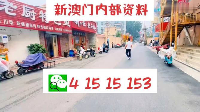 2024澳門天天開好彩大全,澳門天天開好彩，揭秘背后的風(fēng)險(xiǎn)與挑戰(zhàn)