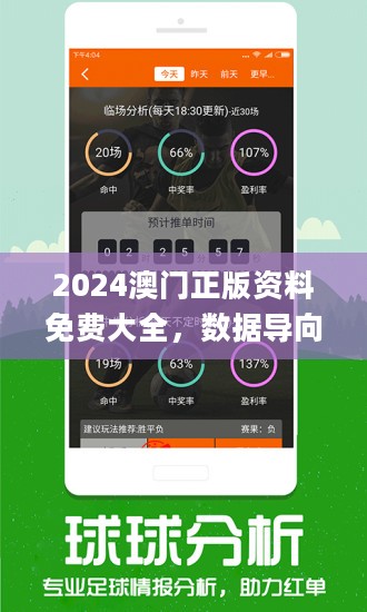 新澳2024正版免費資料,新澳2024正版免費資料，探索與啟示