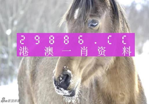 澳門一肖一碼100%精準(zhǔn),澳門一肖一碼100%精準(zhǔn)，揭示背后的風(fēng)險與犯罪問題