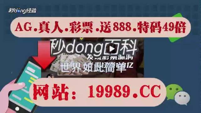 2024澳門今晚必開一肖,關(guān)于澳門今晚必開一肖的猜測與探討——警惕賭博背后的風險