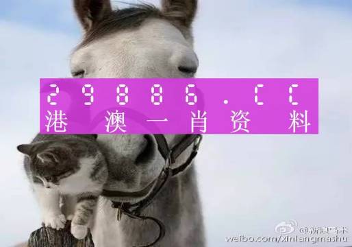 澳門一肖一碼準(zhǔn)選一碼2023年,澳門一肖一碼準(zhǔn)選一碼與犯罪問(wèn)題探討（2023年）