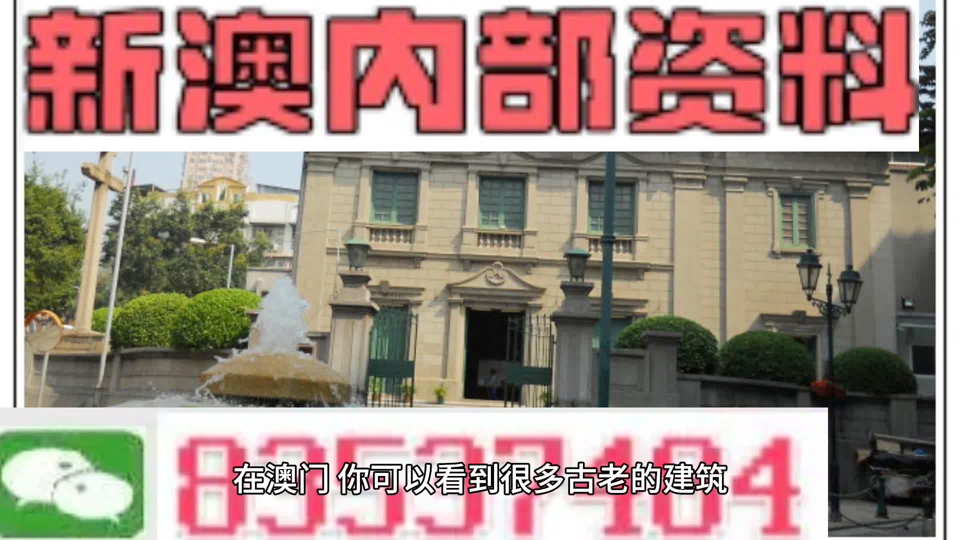 澳門最精準免費資料大全,澳門最精準免費資料大全——揭示違法犯罪的危害與警示