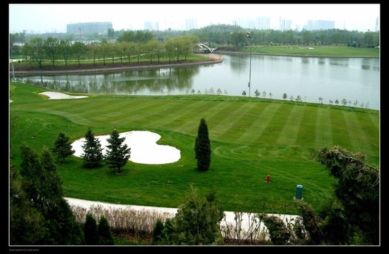 大同公園一號最新動態(tài),大同公園一號最新動態(tài)，城市綠肺的新篇章